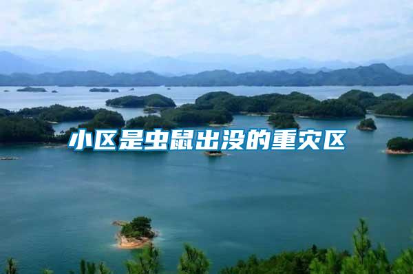 小區(qū)是蟲(chóng)鼠出沒(méi)的重災(zāi)區(qū)