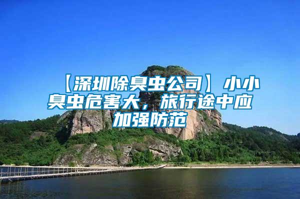 【深圳除臭蟲公司】小小臭蟲危害大，旅行途中應加強防范
