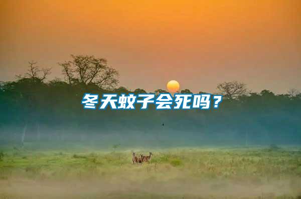 冬天蚊子會(huì)死嗎？