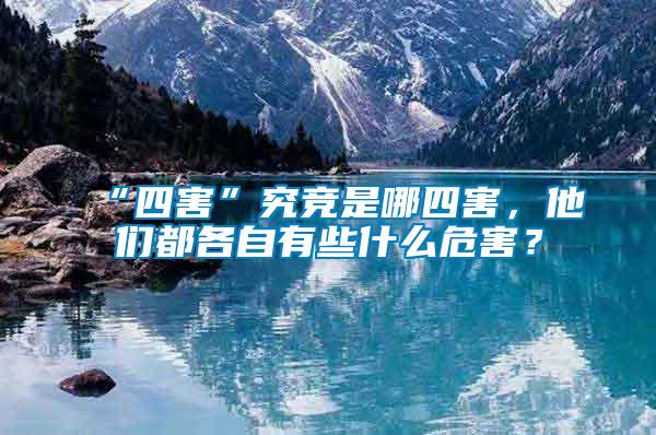 “四害”究競是哪四害，他們都各自有些什么危害？