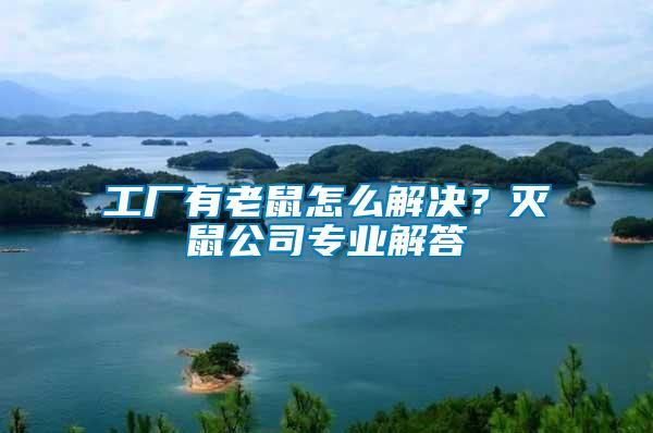 工廠有老鼠怎么解決？滅鼠公司專業(yè)解答