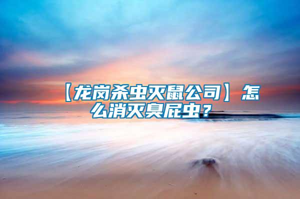 【龍崗殺蟲滅鼠公司】怎么消滅臭屁蟲？