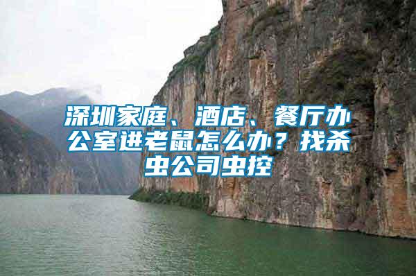 深圳家庭、酒店、餐廳辦公室進(jìn)老鼠怎么辦？找殺蟲(chóng)公司蟲(chóng)控