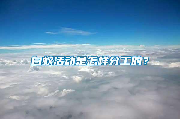 白蟻活動(dòng)是怎樣分工的？