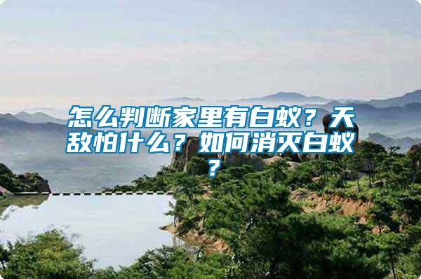 怎么判斷家里有白蟻？天敵怕什么？如何消滅白蟻？