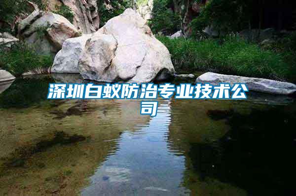 深圳白蟻防治專業(yè)技術公司