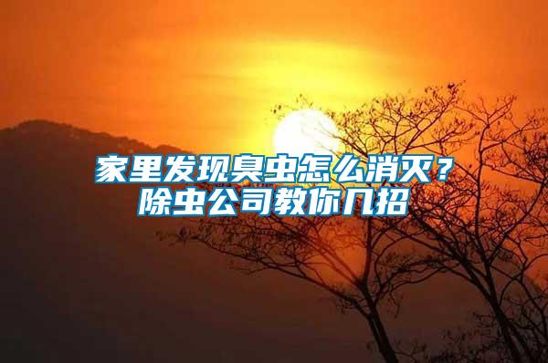 家里發(fā)現(xiàn)臭蟲怎么消滅？除蟲公司教你幾招