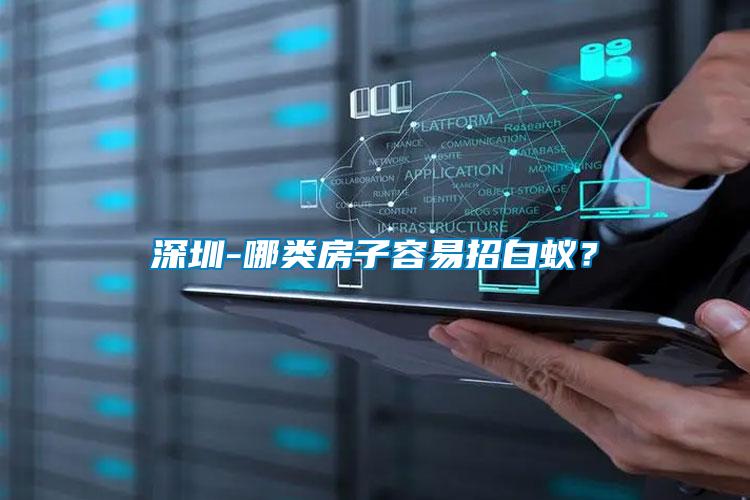 深圳-哪類房子容易招白蟻？