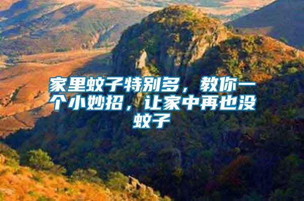 家里蚊子特別多，教你一個(gè)小妙招，讓家中再也沒蚊子
