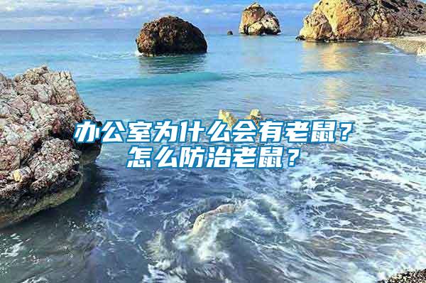 辦公室為什么會有老鼠？怎么防治老鼠？