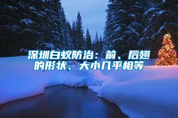 深圳白蟻防治：前、后翅的形狀、大小幾乎相等