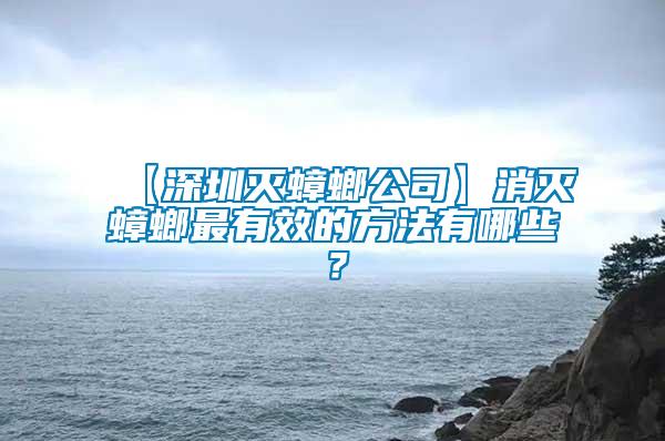 【深圳滅蟑螂公司】消滅蟑螂最有效的方法有哪些？