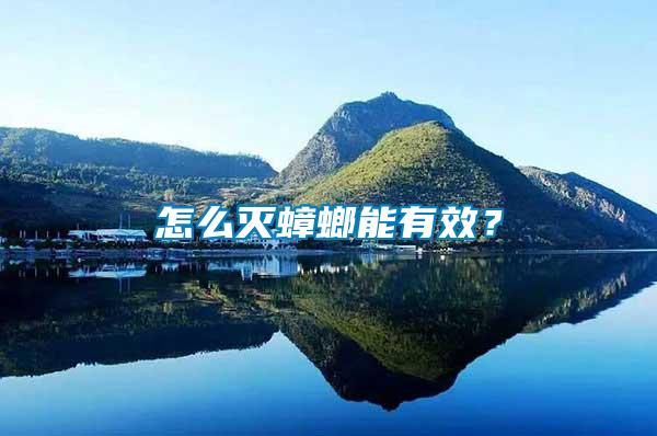 怎么滅蟑螂能有效？