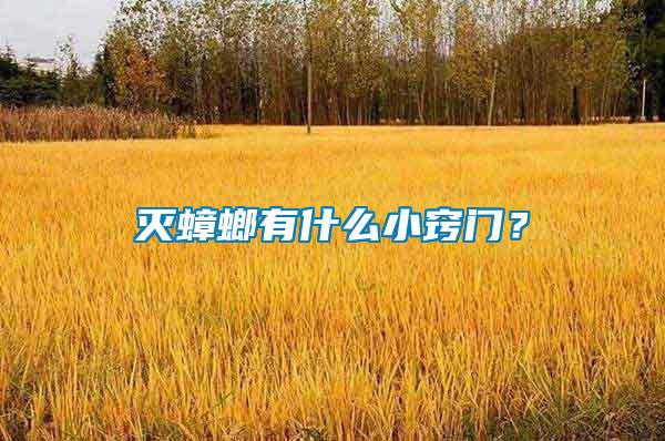 滅蟑螂有什么小竅門(mén)？
