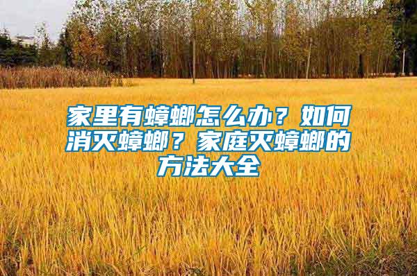 家里有蟑螂怎么辦？如何消滅蟑螂？家庭滅蟑螂的方法大全