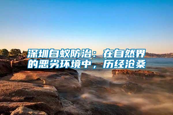 深圳白蟻防治：在自然界的惡劣環(huán)境中，歷經(jīng)滄桑