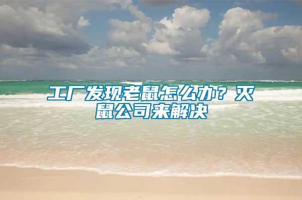 工廠(chǎng)發(fā)現(xiàn)老鼠怎么辦？滅鼠公司來(lái)解決