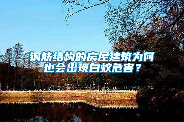 鋼筋結(jié)構(gòu)的房屋建筑為何也會(huì)出現(xiàn)白蟻危害？