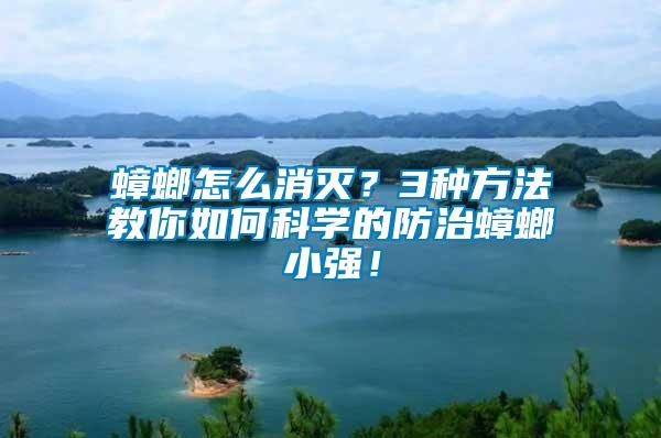 蟑螂怎么消滅？3種方法教你如何科學(xué)的防治蟑螂小強！