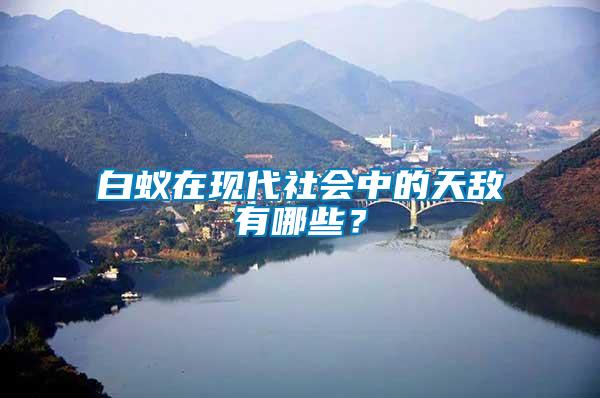 白蟻在現(xiàn)代社會中的天敵有哪些？
