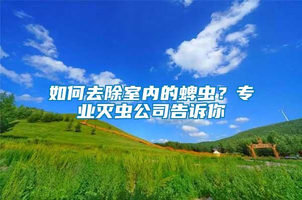 如何去除室內(nèi)的蜱蟲？專業(yè)滅蟲公司告訴你