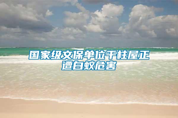 國(guó)家級(jí)文保單位千柱屋正遭白蟻危害