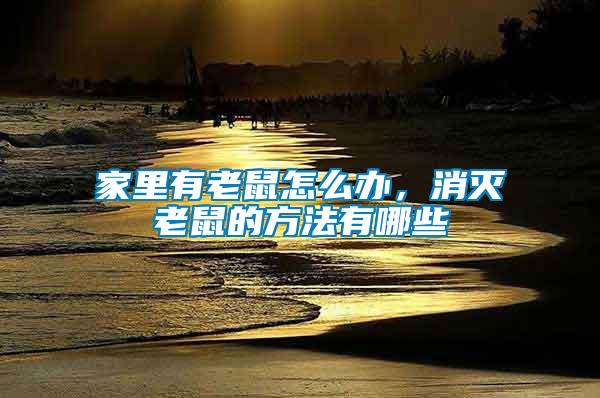 家里有老鼠怎么辦，消滅老鼠的方法有哪些