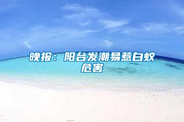 晚報(bào)：陽(yáng)臺(tái)發(fā)潮易惹白蟻危害