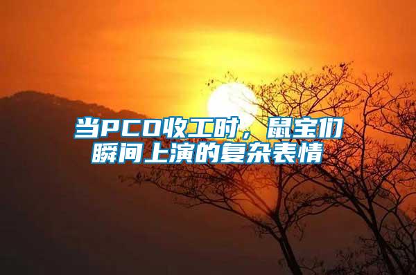 當(dāng)PCO收工時(shí)，鼠寶們瞬間上演的復(fù)雜表情