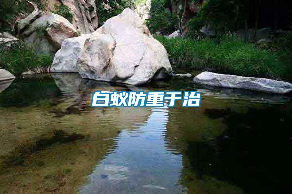 白蟻防重于治