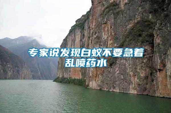 專家說發(fā)現(xiàn)白蟻不要急著亂噴藥水
