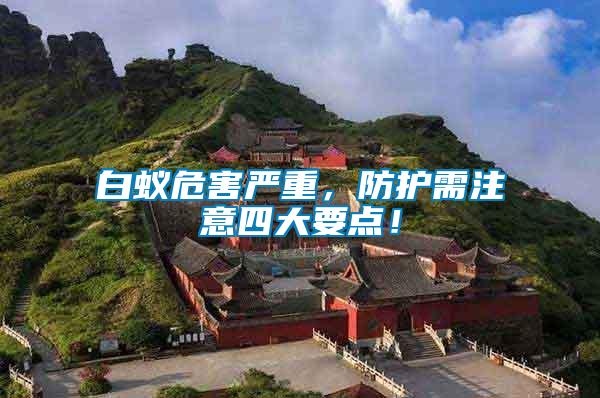 白蟻危害嚴重，防護需注意四大要點！