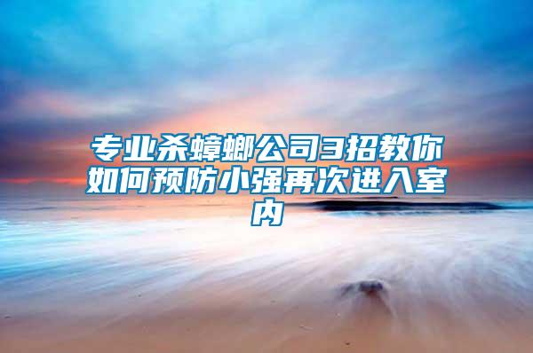 專業(yè)殺蟑螂公司3招教你如何預防小強再次進入室內