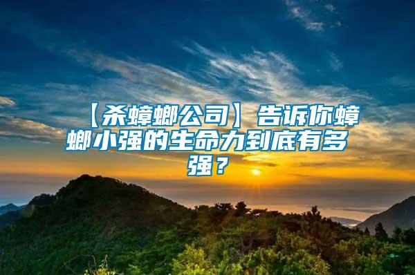 【殺蟑螂公司】告訴你蟑螂小強的生命力到底有多強？