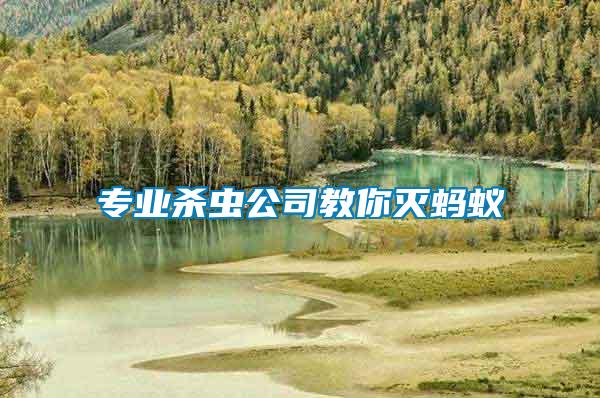 專業(yè)殺蟲(chóng)公司教你滅螞蟻