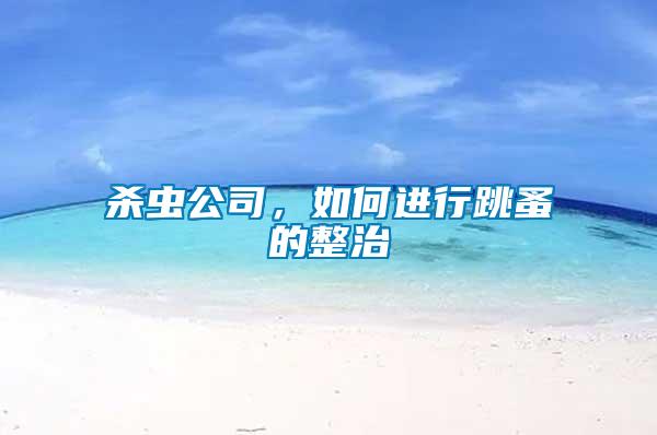 殺蟲(chóng)公司，如何進(jìn)行跳蚤的整治