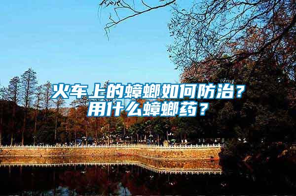 火車上的蟑螂如何防治？用什么蟑螂藥？