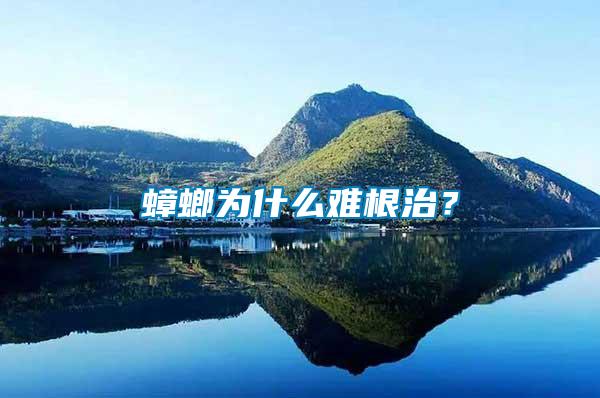 蟑螂為什么難根治？