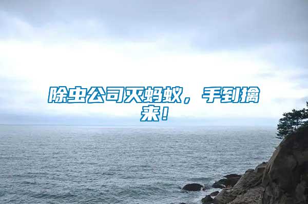 除蟲(chóng)公司滅螞蟻，手到擒來(lái)！
