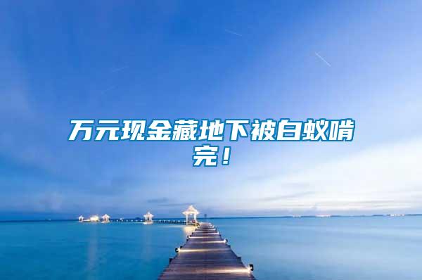萬(wàn)元現(xiàn)金藏地下被白蟻啃完！