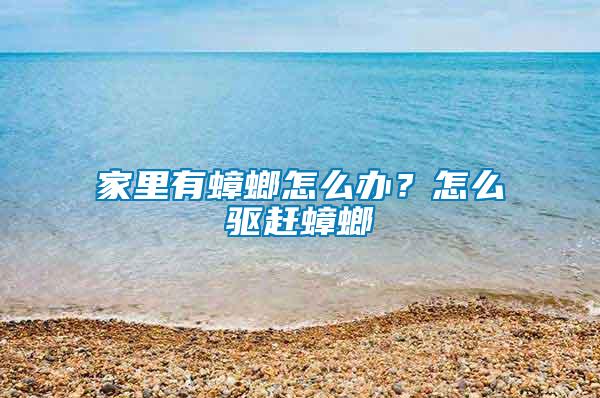 家里有蟑螂怎么辦？怎么驅(qū)趕蟑螂