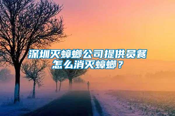 深圳滅蟑螂公司提供員餐怎么消滅蟑螂？