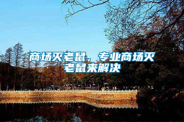 商場滅老鼠，專業(yè)商場滅老鼠來解決