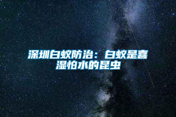 深圳白蟻防治：白蟻是喜濕怕水的昆蟲(chóng)
