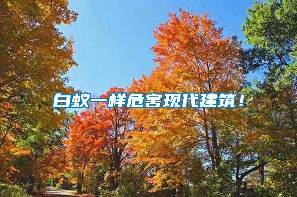 白蟻一樣危害現(xiàn)代建筑！