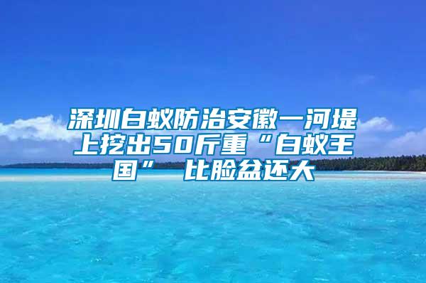 深圳白蟻防治安徽一河堤上挖出50斤重“白蟻王國(guó)” 比臉盆還大
