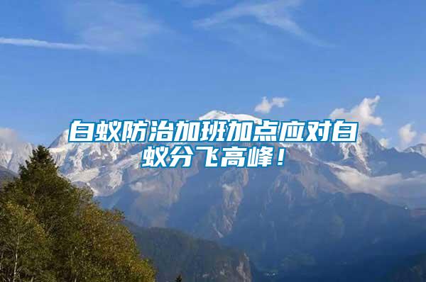 白蟻防治加班加點應對白蟻分飛高峰！