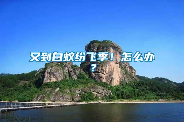 又到白蟻紛飛季！怎么辦？