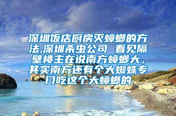深圳飯店廚房滅蟑螂的方法,深圳殺蟲公司 看見隔壁樓主在說南方蟑螂大，其實(shí)南方還有個(gè)大蜘蛛專門吃這個(gè)大蟑螂的