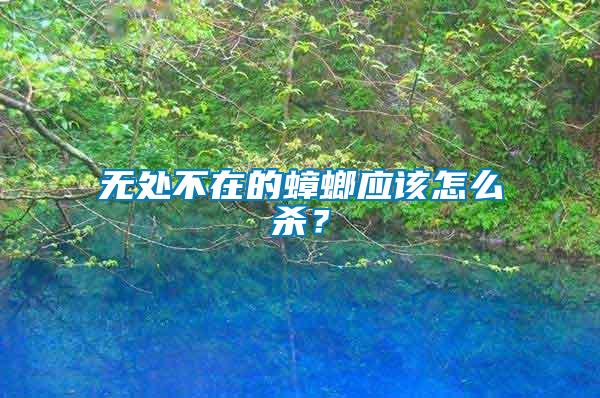 無處不在的蟑螂應該怎么殺？
